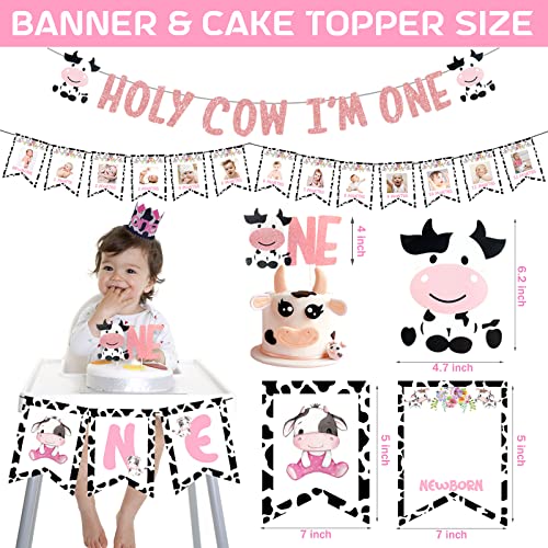 Holy Cow Party Kit