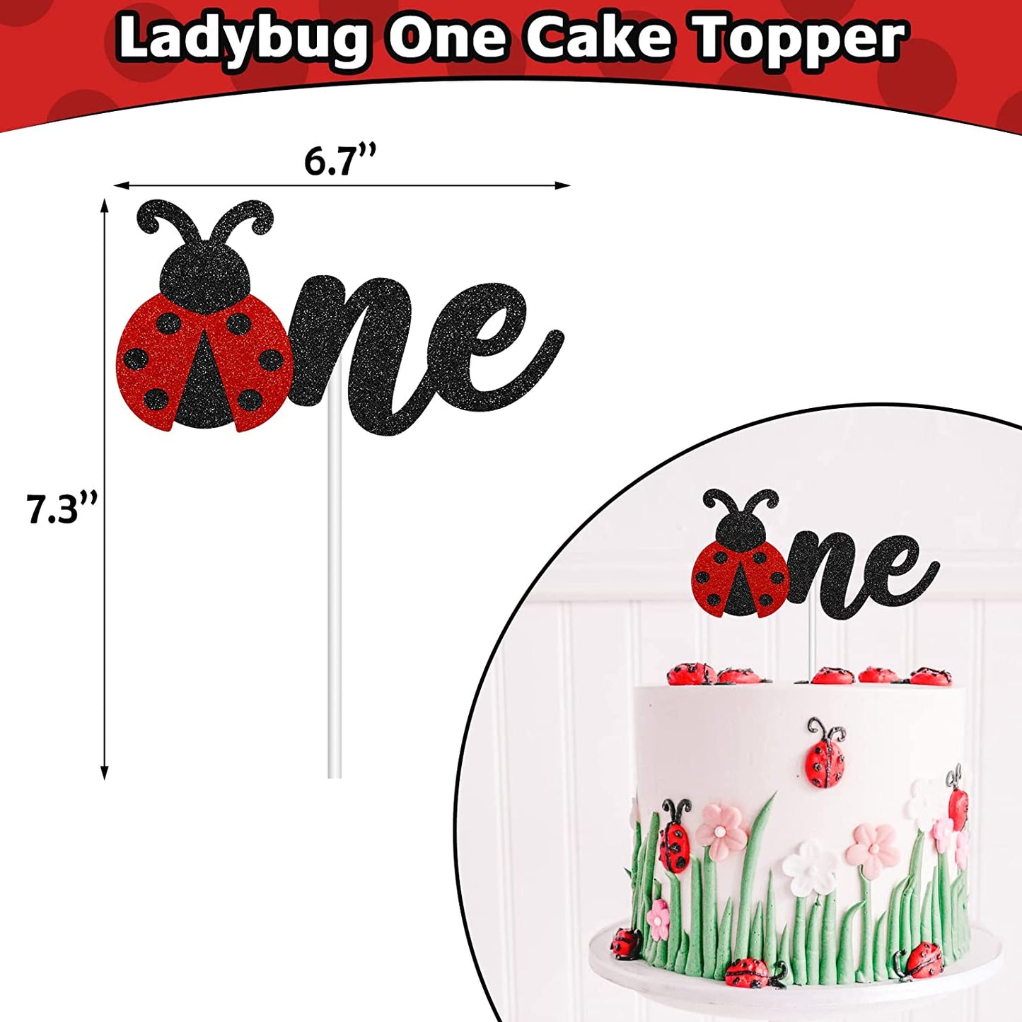 Birthday Ladybug Cake Smash Set