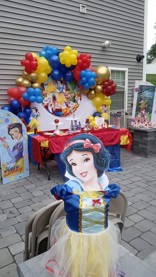 Snow White Birthday Package