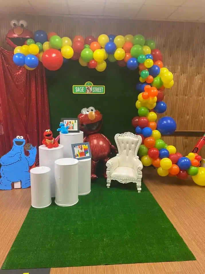 Sesame Street or Elmo Party